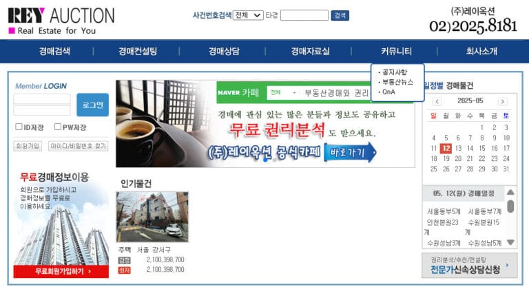 레이옥션 홈페이지 이미지