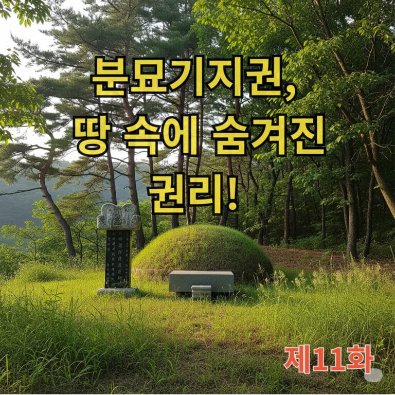 분묘기지권, 땅 속에 숨겨진 권리! 썸네일